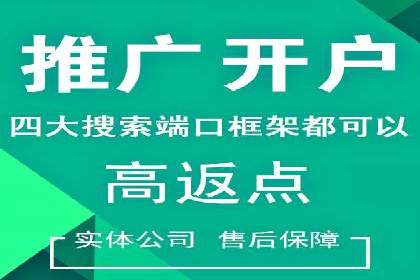 专业SEM运营托管服务案例分析